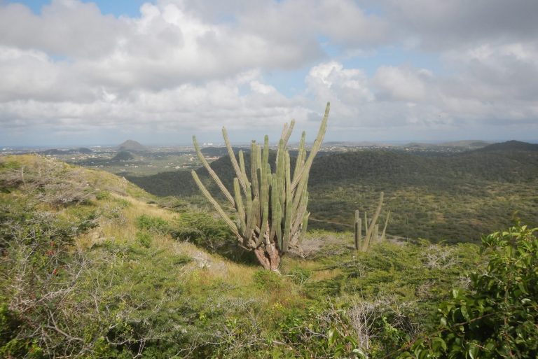 Beautiful view of the nature surrounding Aruba's highest point